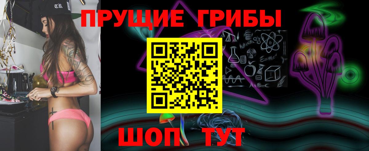 Галлюциногенные грибы Cubensis Железногорск